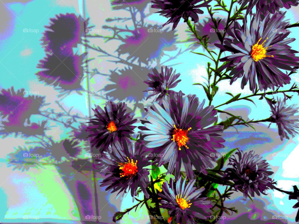 purple flowers art abstract beautiful texture background