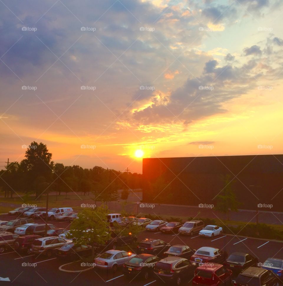 View from the office