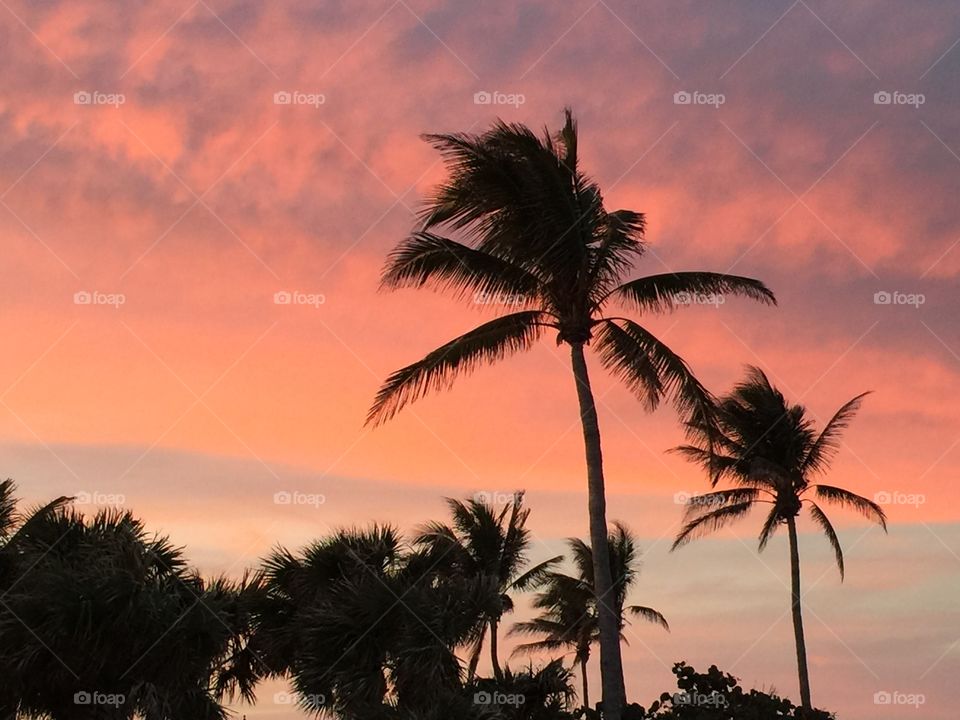 Beautiful Tropical Sky