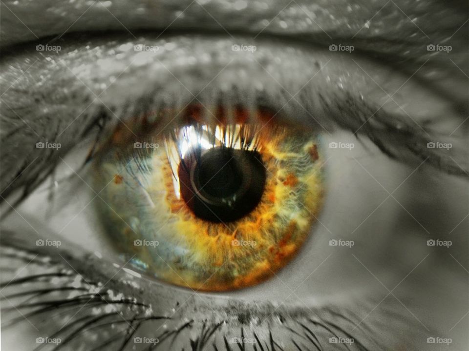 Human eye- macro shot