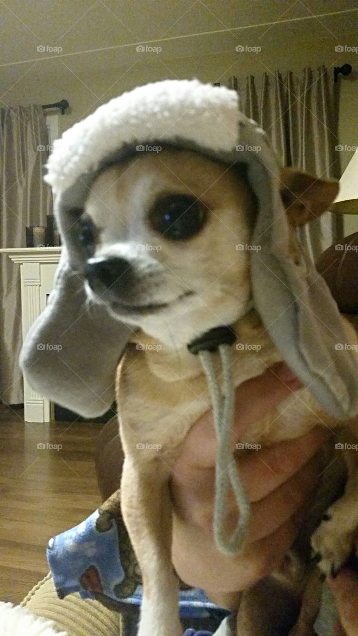Chico's New Hat