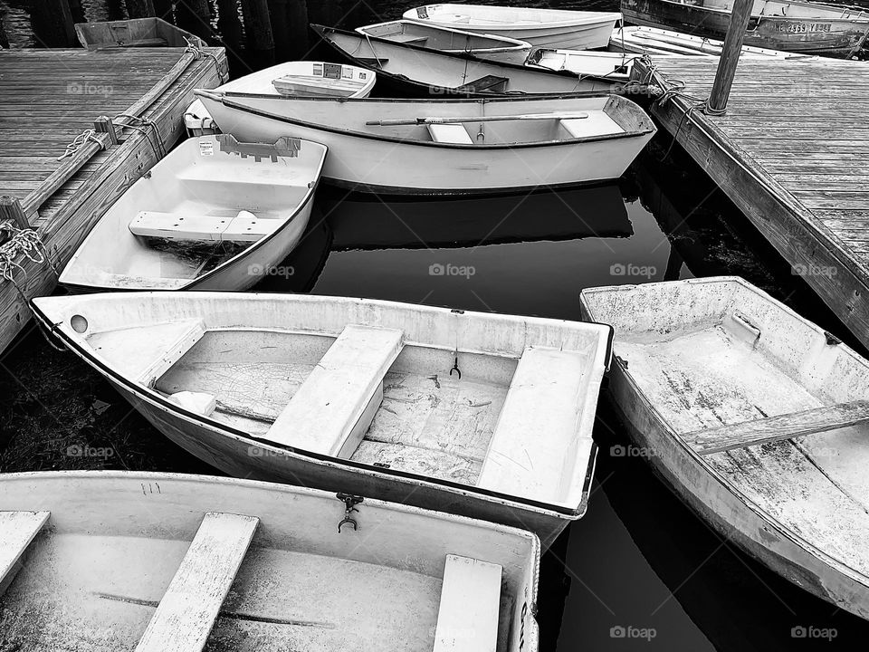 Dories in contrast. Light colored dories stand out against the dark waters they float on.