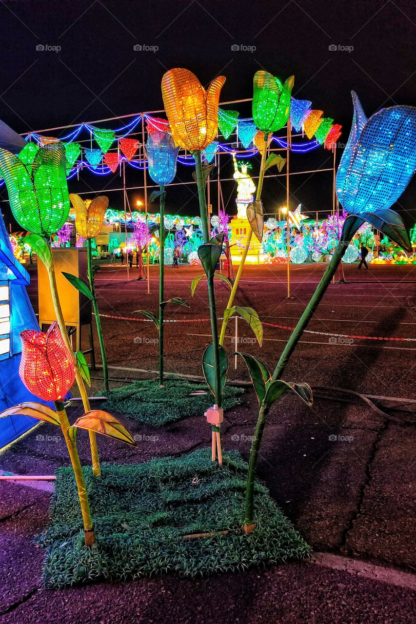 ILLUMINATION of Lights