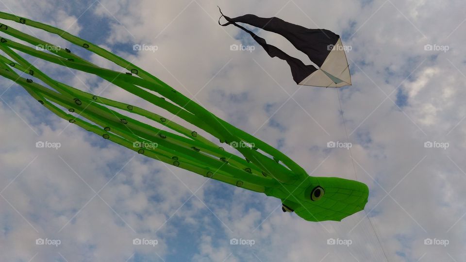 kites octopus