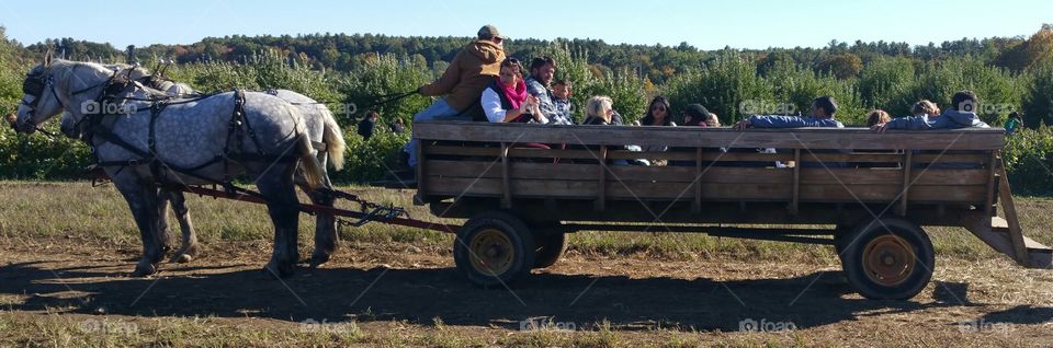Autumn Hay Ride