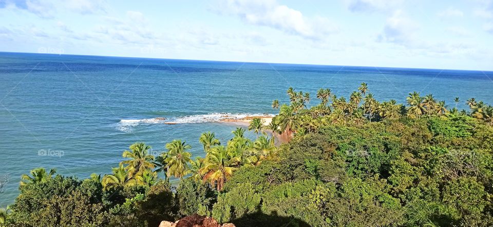 Praia de Coqueiros