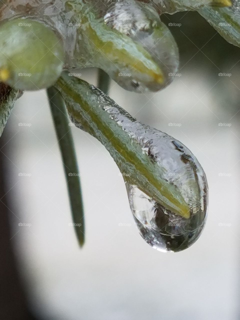 Frozen Drop