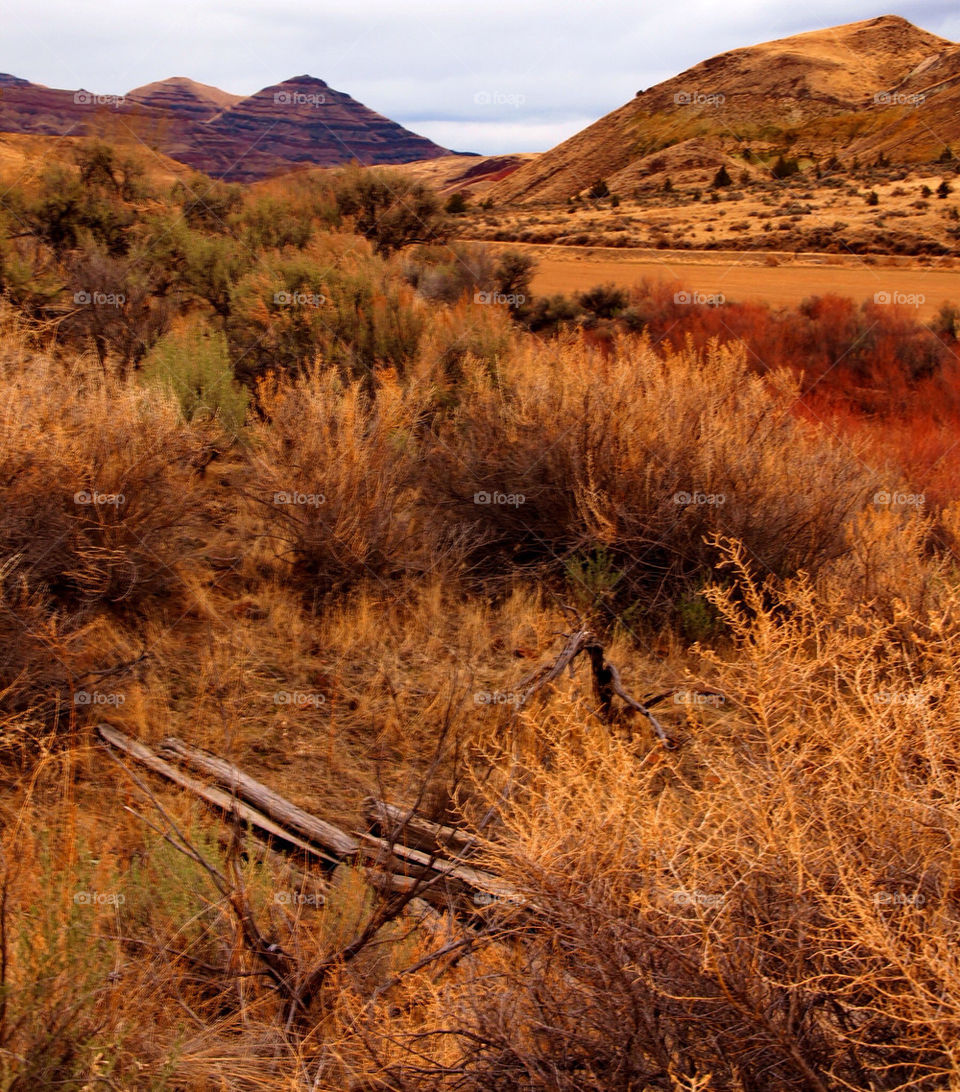 landscape nature colorful desert by hddatmyers