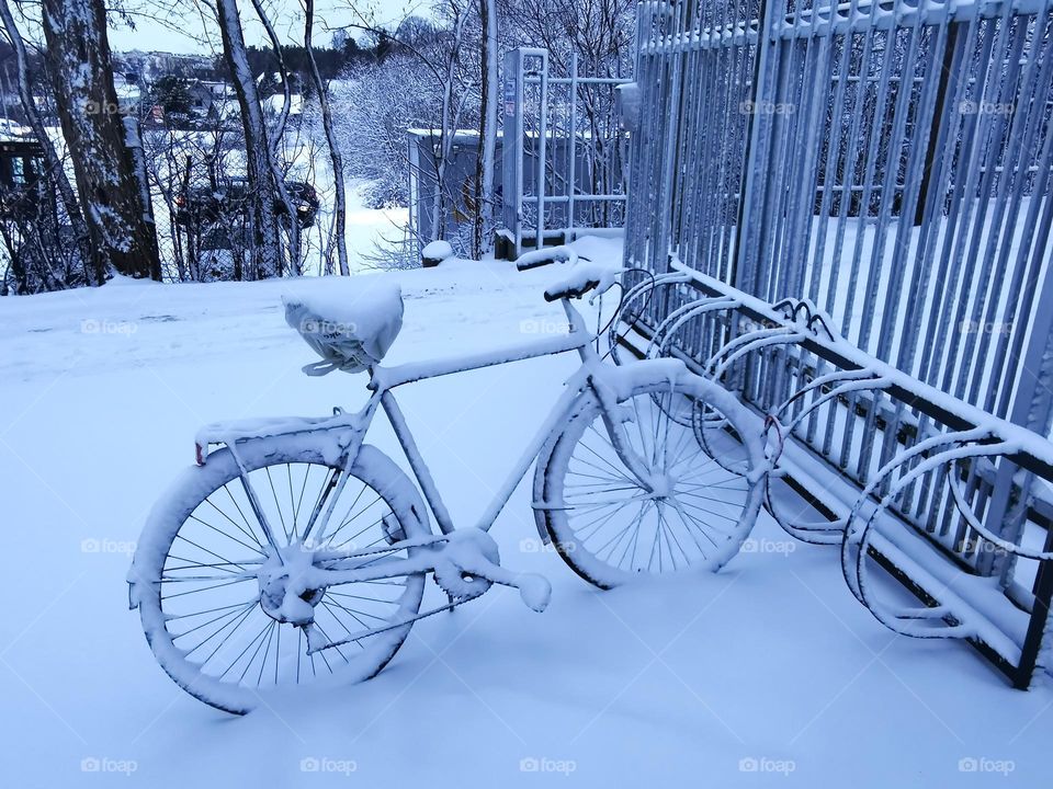 Lonely bike in the snow