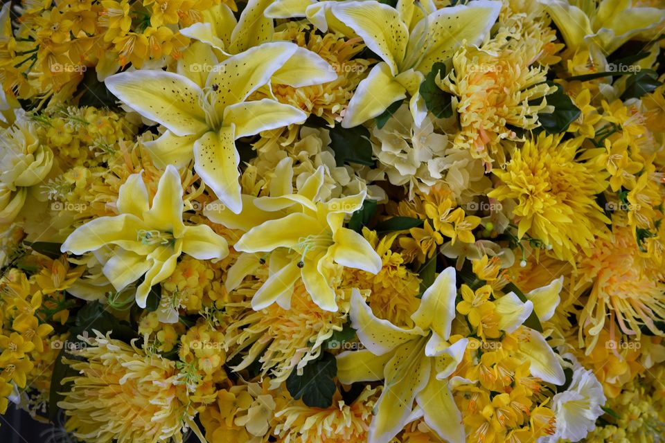 Beautiful collection of fresh yellow flowers