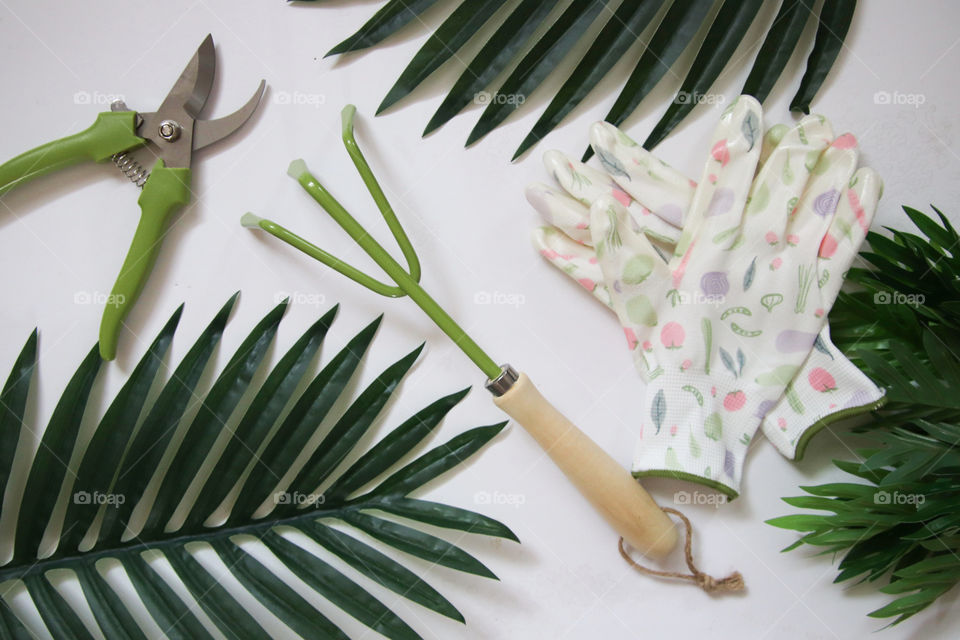 Springtime gardening tools flat lay