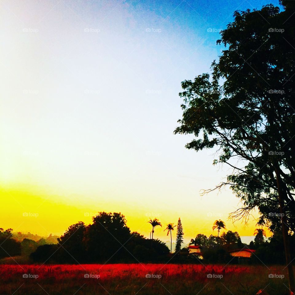 🌅Desperta, #Jundiaí!
Ótimo #Domingo a todos.
🍃
#sol
#sun
#sky
#céu
#photo
#nature
#manhã
#morning
#alvorada
#natureza
#horizonte
#fotografia
#paisagem
#inspiração
#amanhecer
#mobgraphy
#FotografeiEmJundiaí