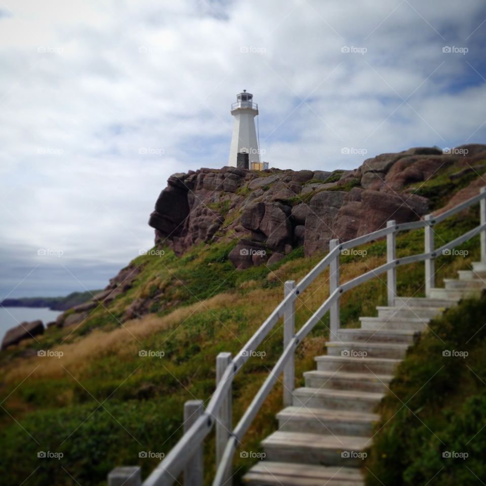 Lighthouse walk 