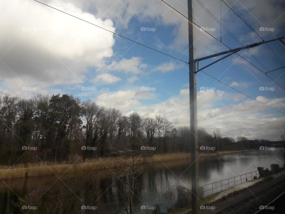 Tree reflection on River