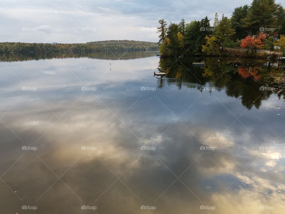 Lake, Reflection, Landscape, Tree, Water