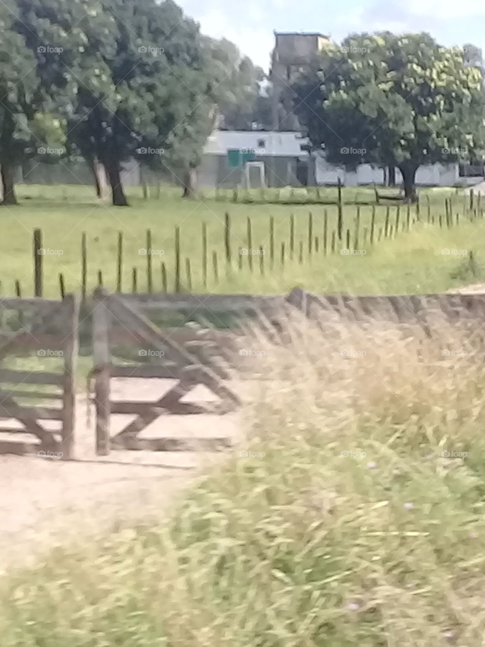 tranquera y camino de entrada a un campo con cerca de palos y alambre que separa el campo de la zona habitada.