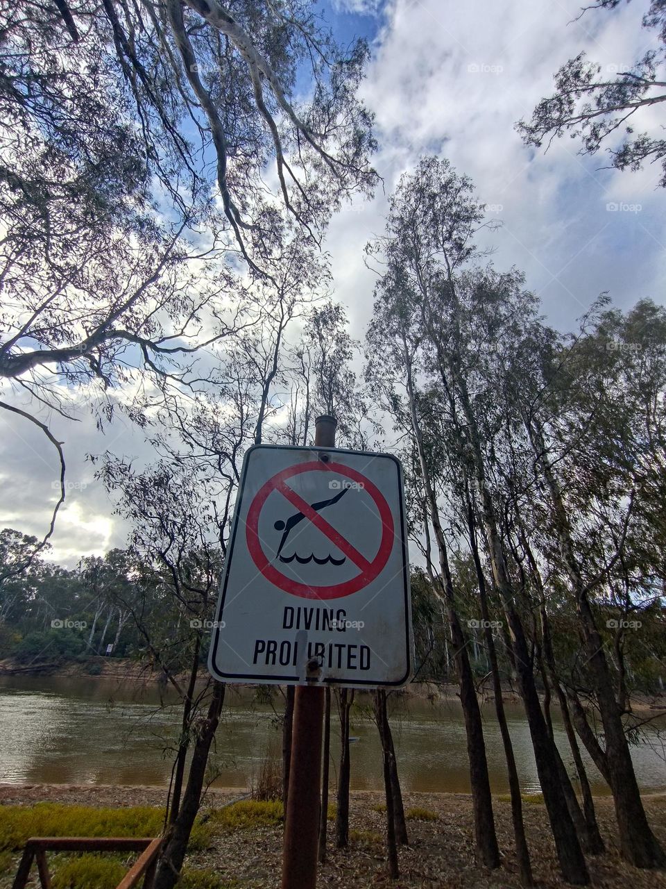 no diving