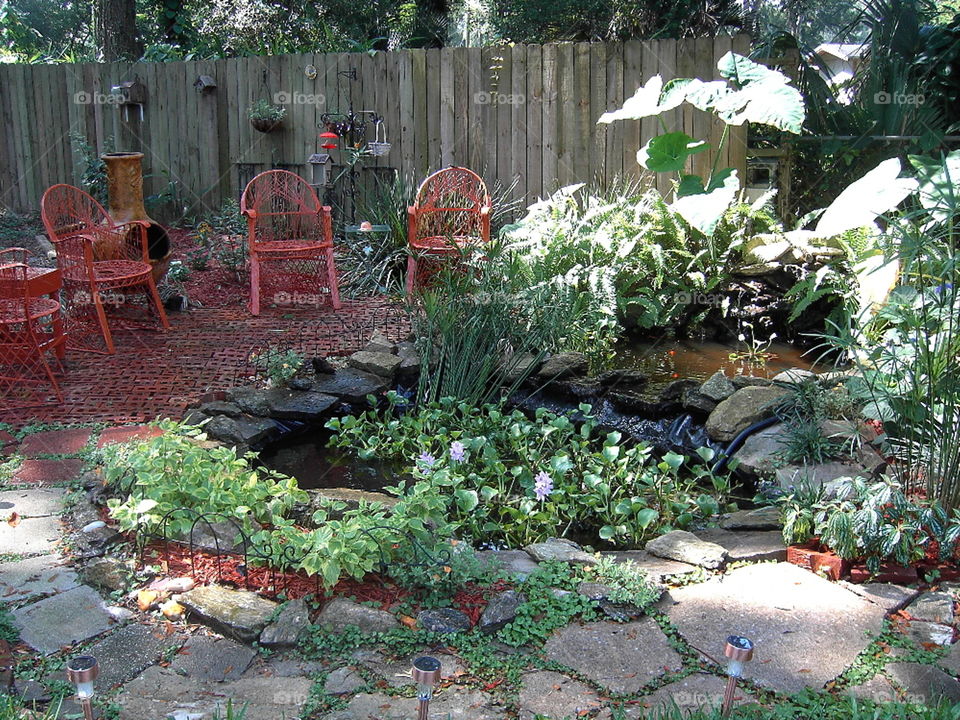 Relaxing Pond Setting