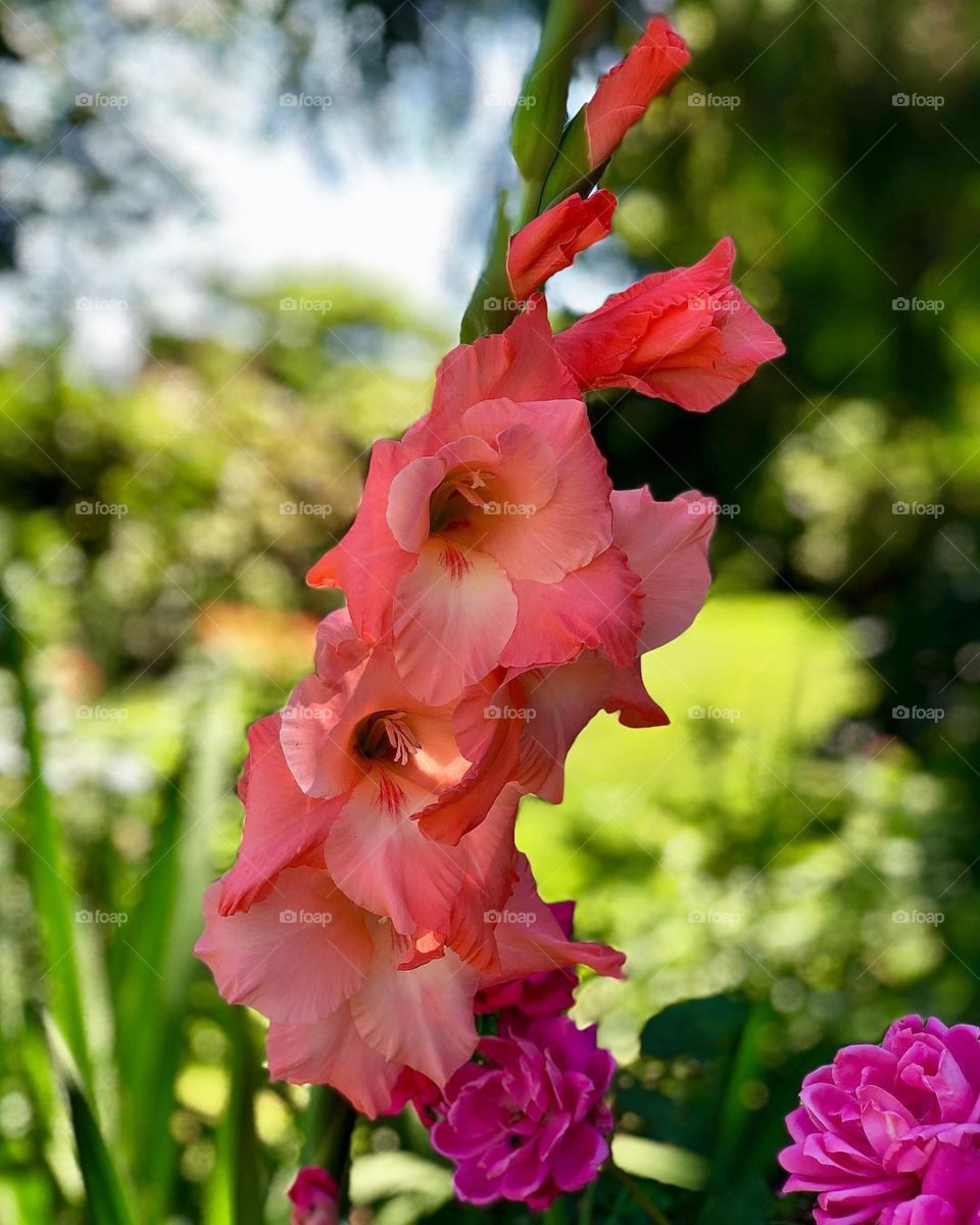 Be still & know I am one with God.
Be still & know I am.
Be still.
Be.
🌺