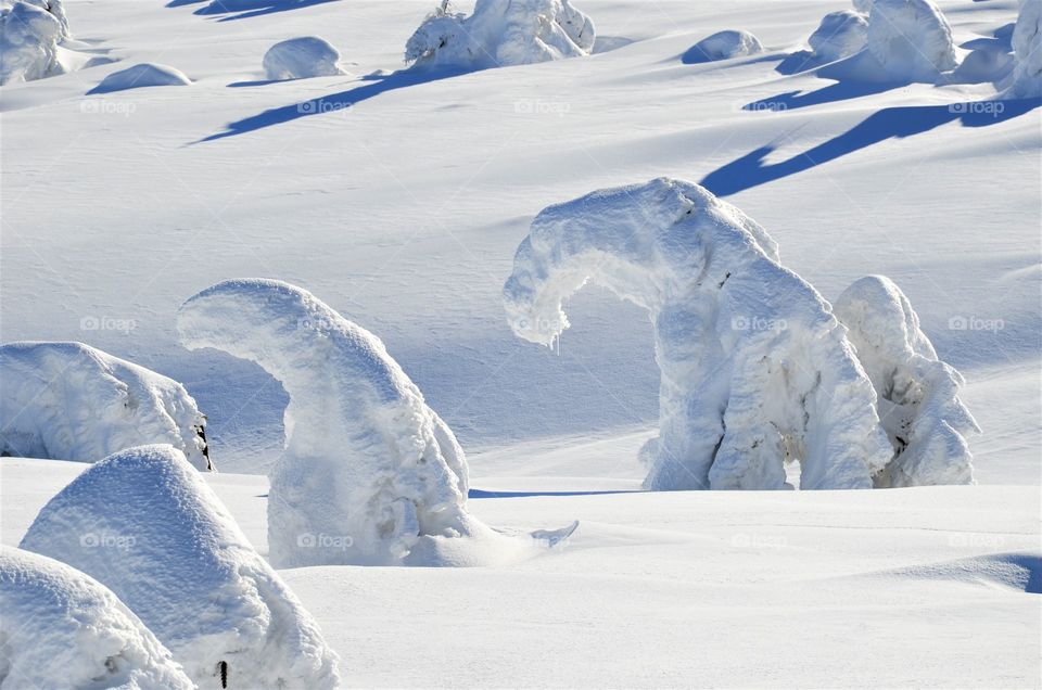 Art of winter in the mountains.