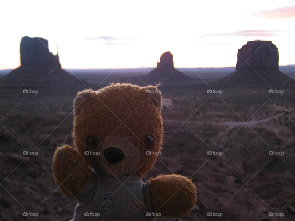 Bear on holiday Monument Valley