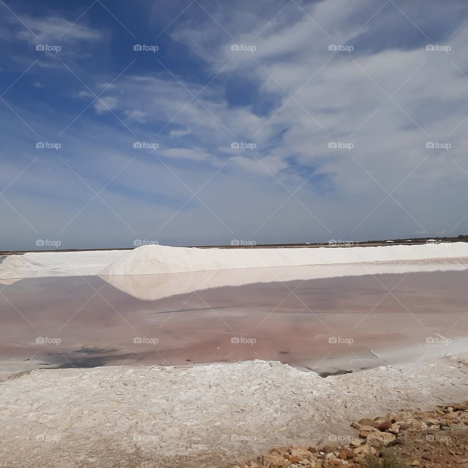 salinas