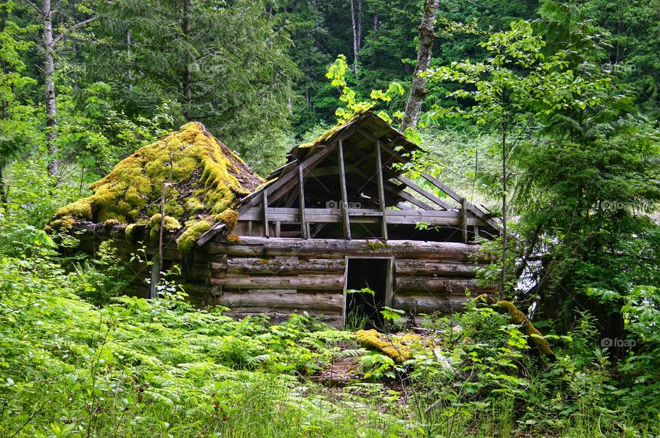 Old cabin