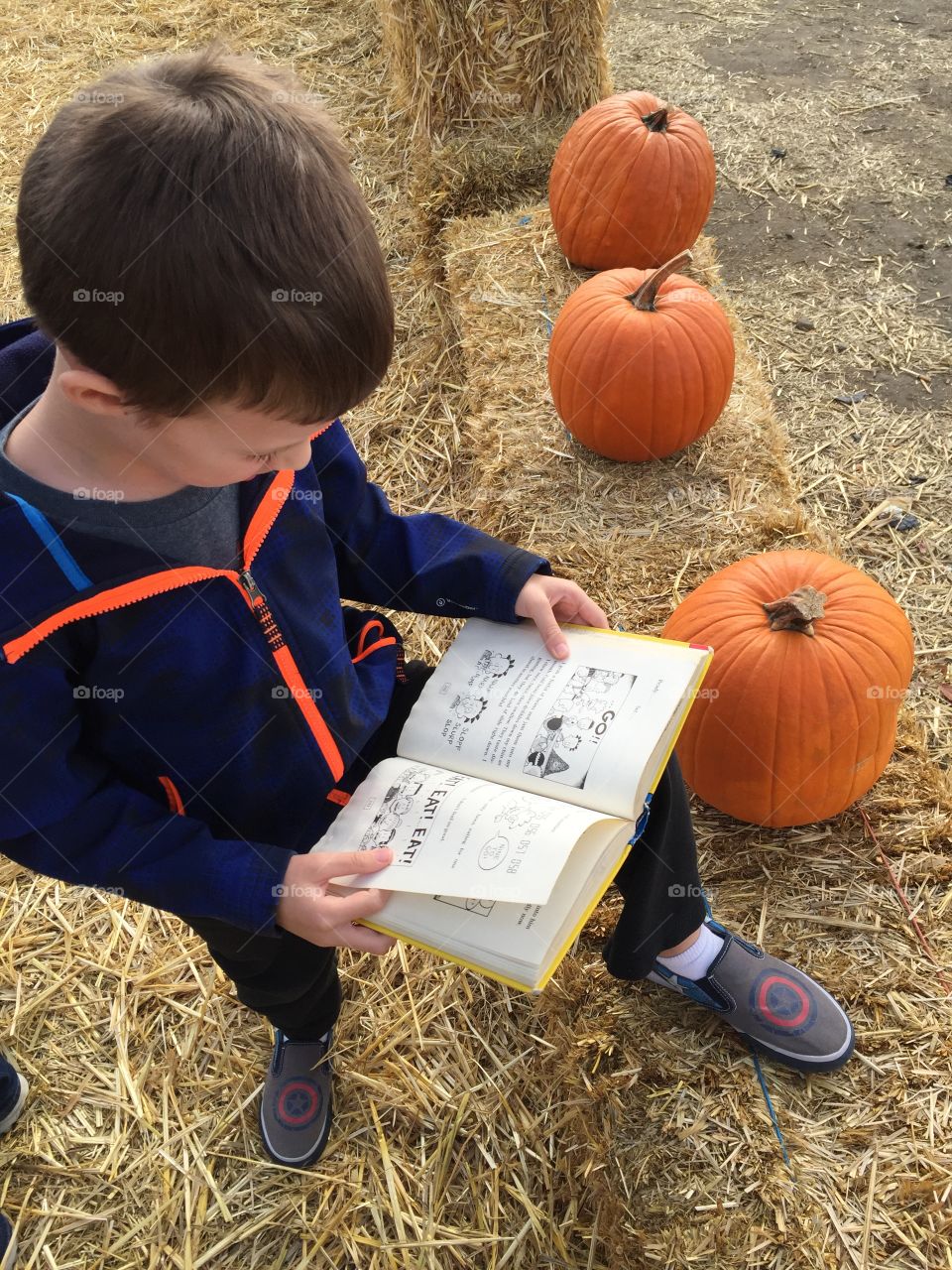Bookworm in a pumpkin patch. 