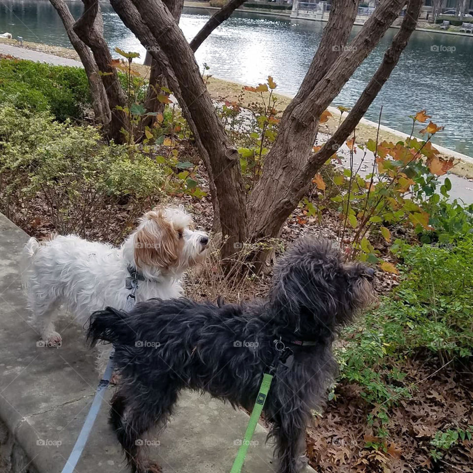 We spotted a squirrel