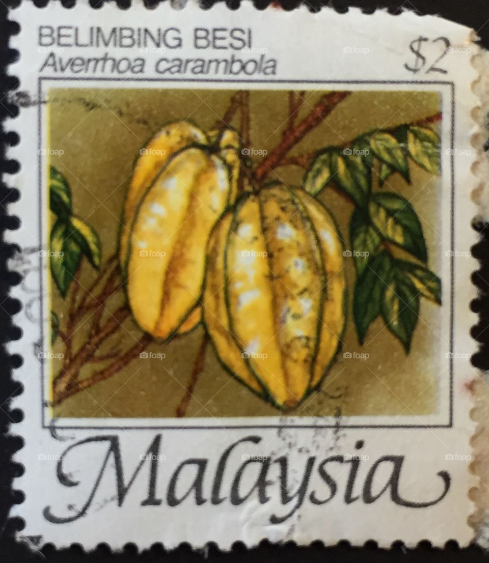 Malaysian stamp of carambula fruit $2 belimbing besi