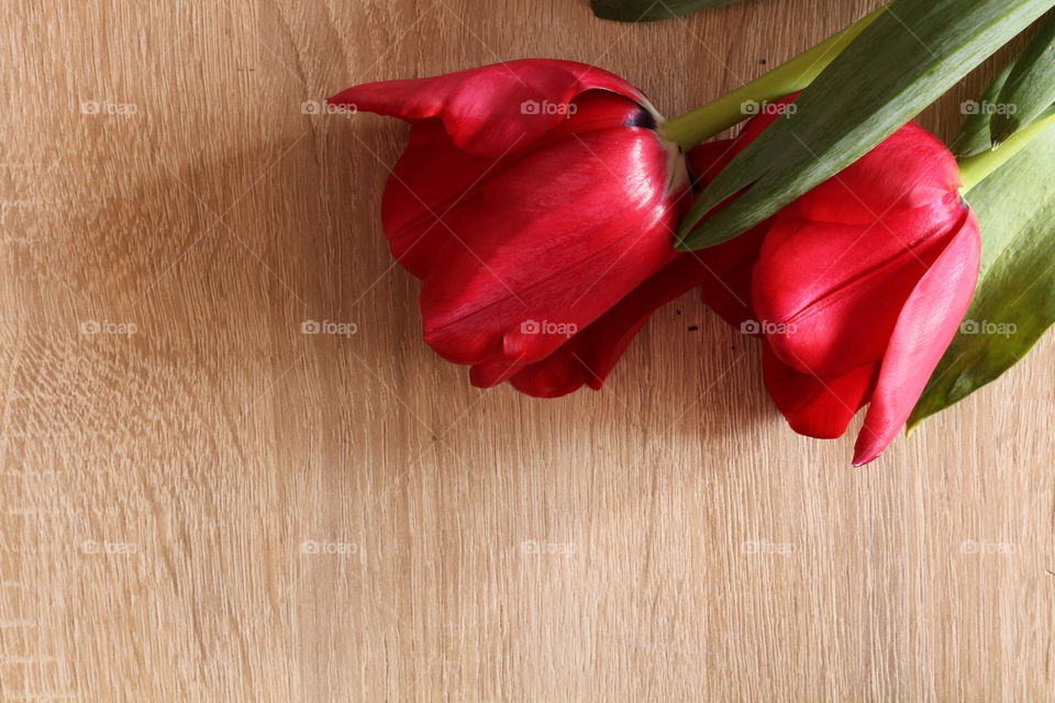 Red roses on wooden table