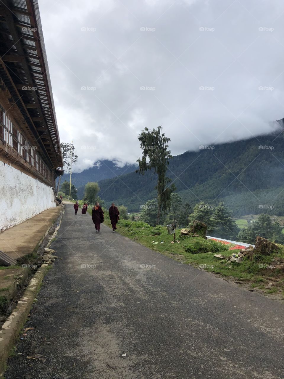 Rural bhutan 