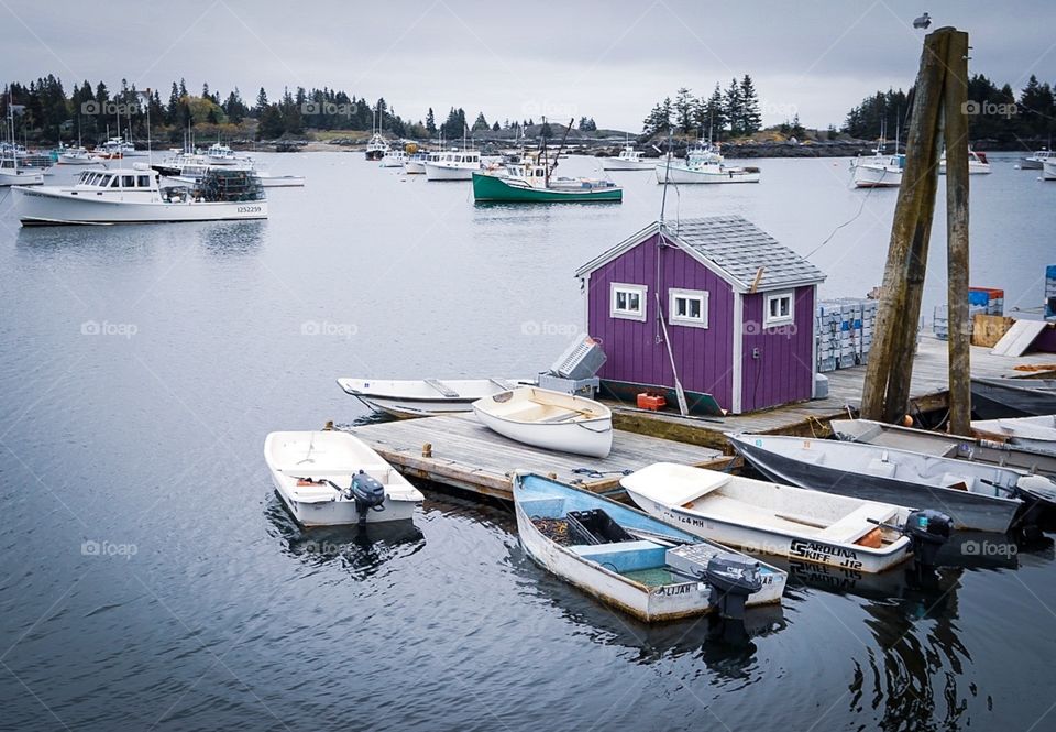 Purple bait house, Gulf of Maine, Vinalhaven, Maine