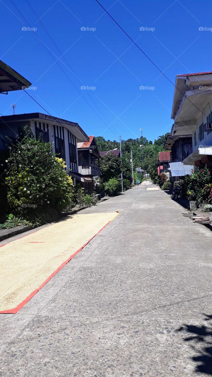 Street drying rice on a clear, sunny day in this tiny village of Bayabas, Surigao del Sur Philippines