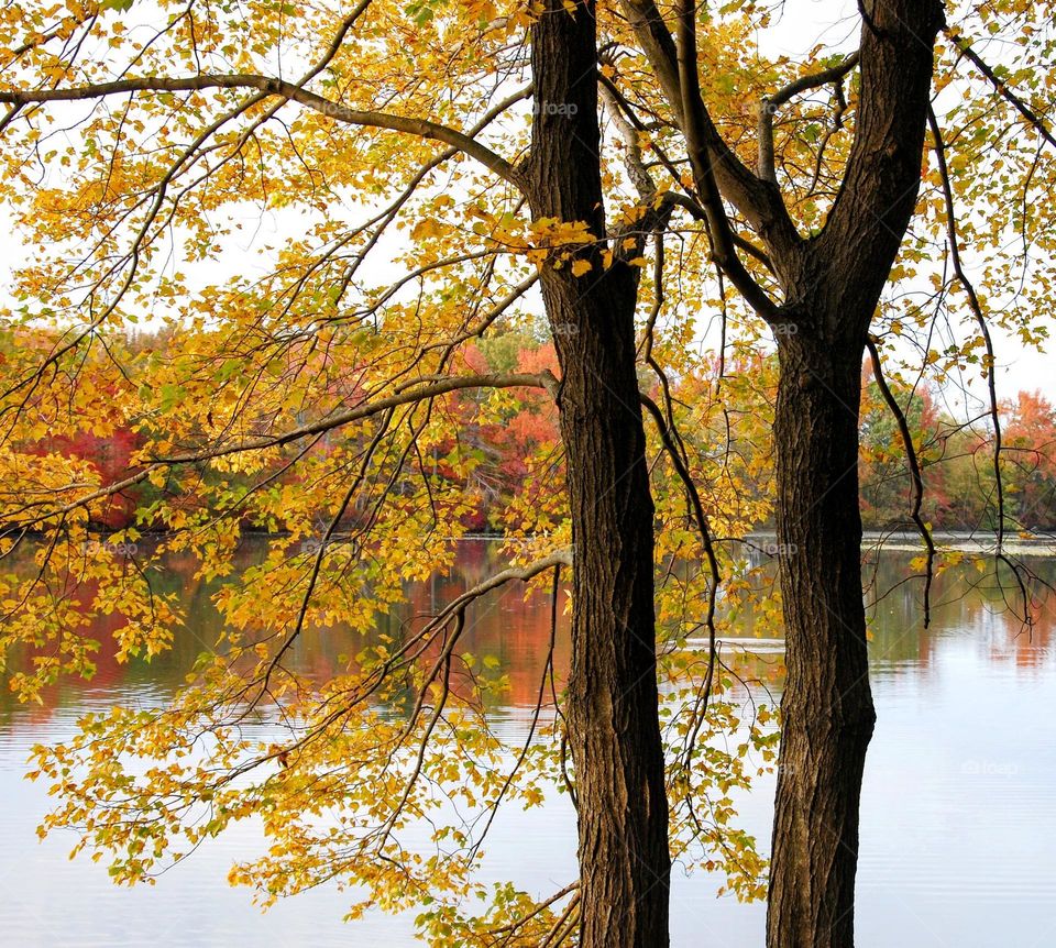 Autumn Lake