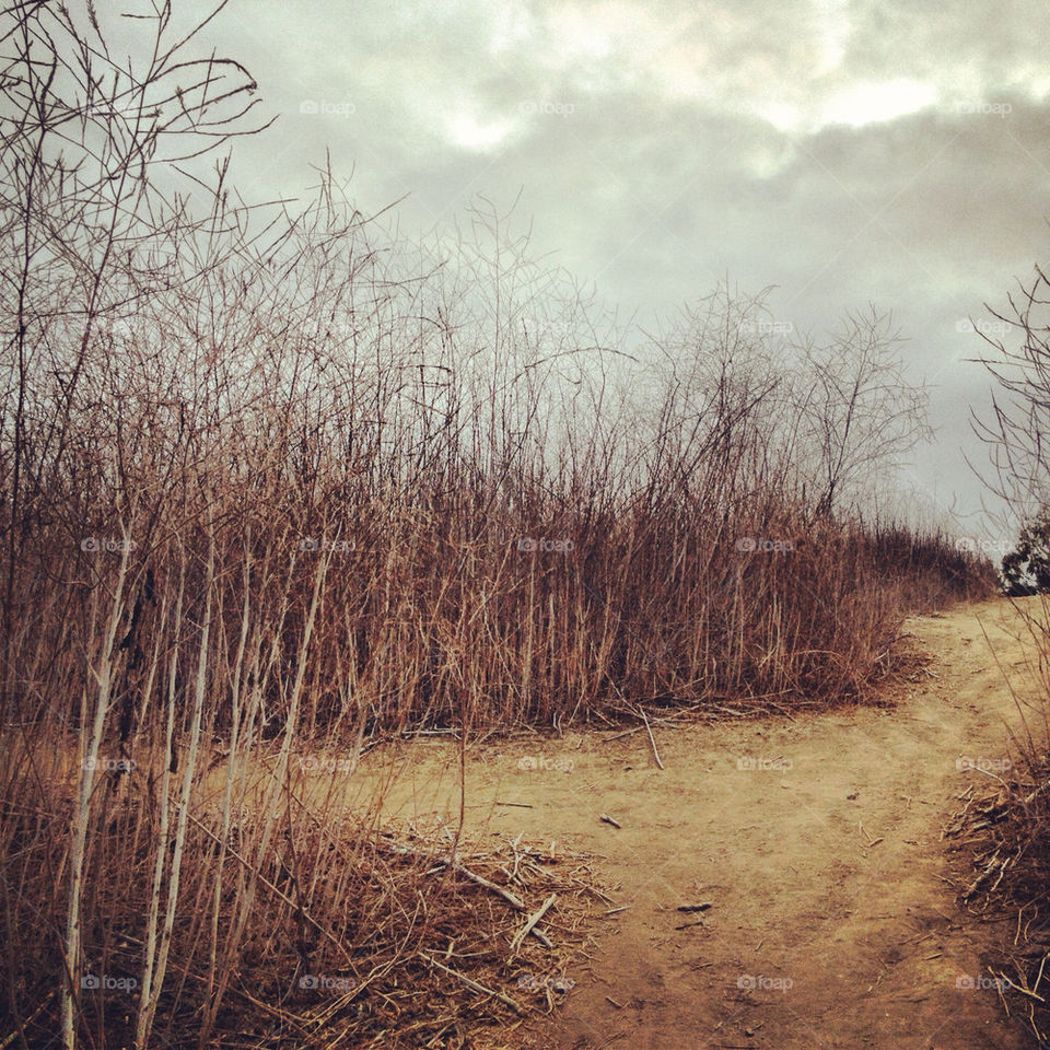 landscape beach orange cloudy by annieadj