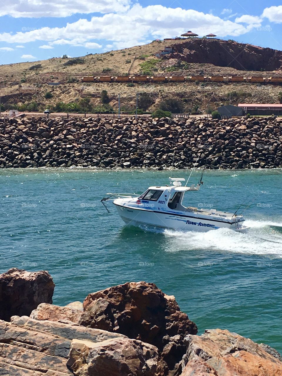 Speedboat sports fisher returning to harbour 
