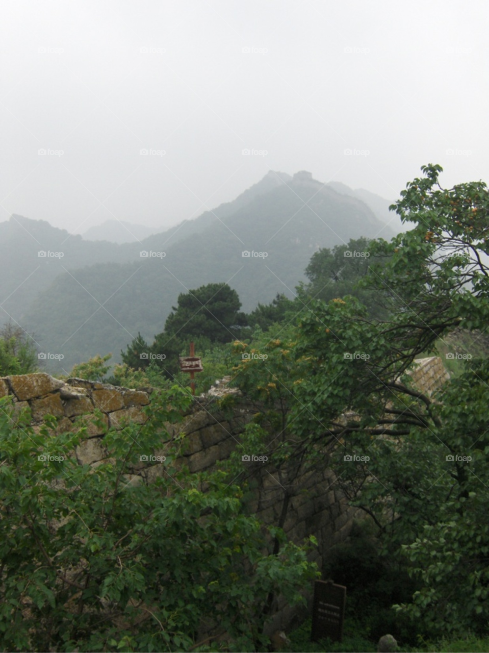 great wall of china wall tree skyline by Amy