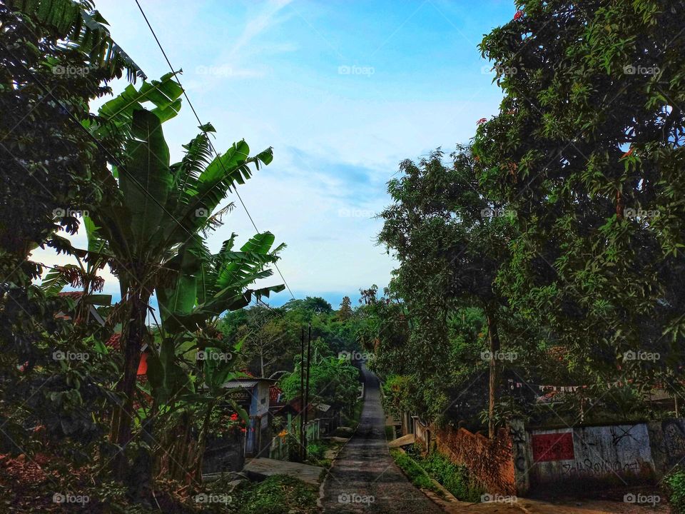High and low road decorated with trees