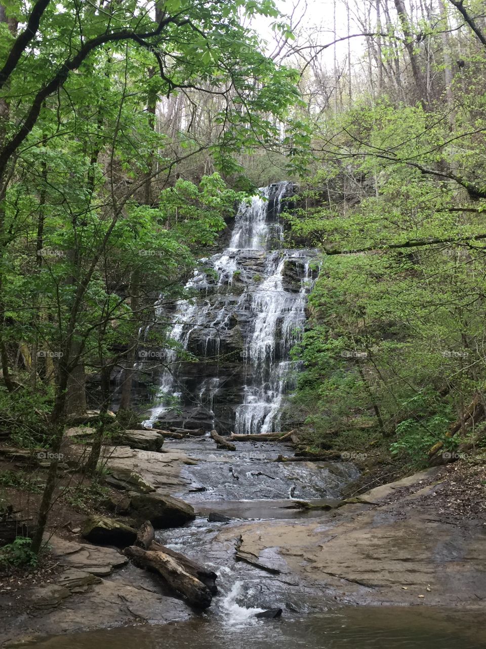Waterfall In North Carolina