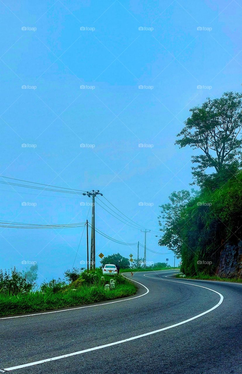 Whispers of the Mist: Serpentine Secrets in the Upcountry