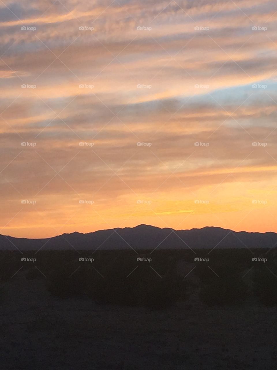 California desert sunset 