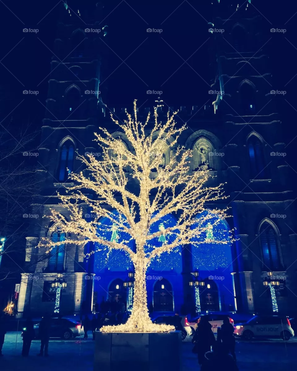 Tree of life