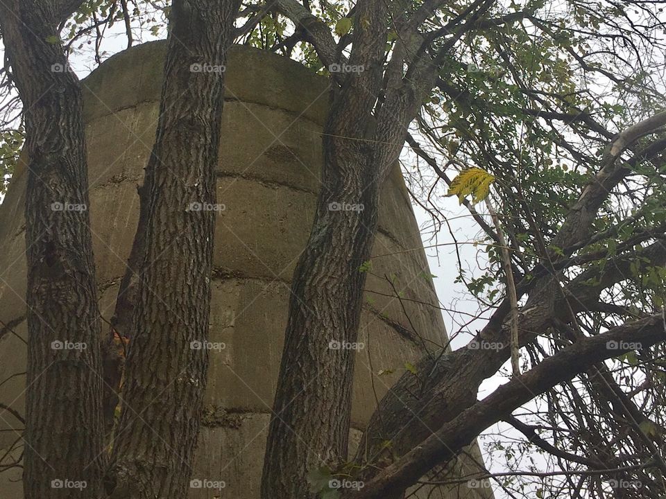 Solo Autumn Silo