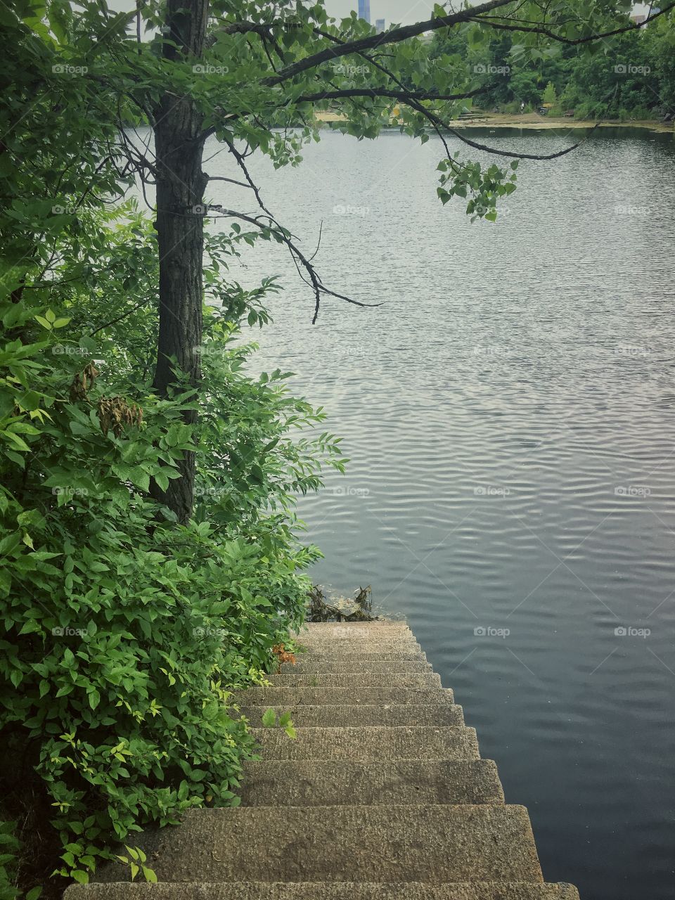 Stairs to lake in JC reservoir 