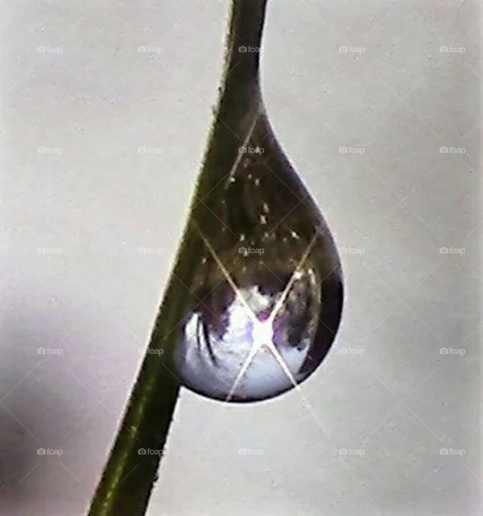 Reflective Dew Drop