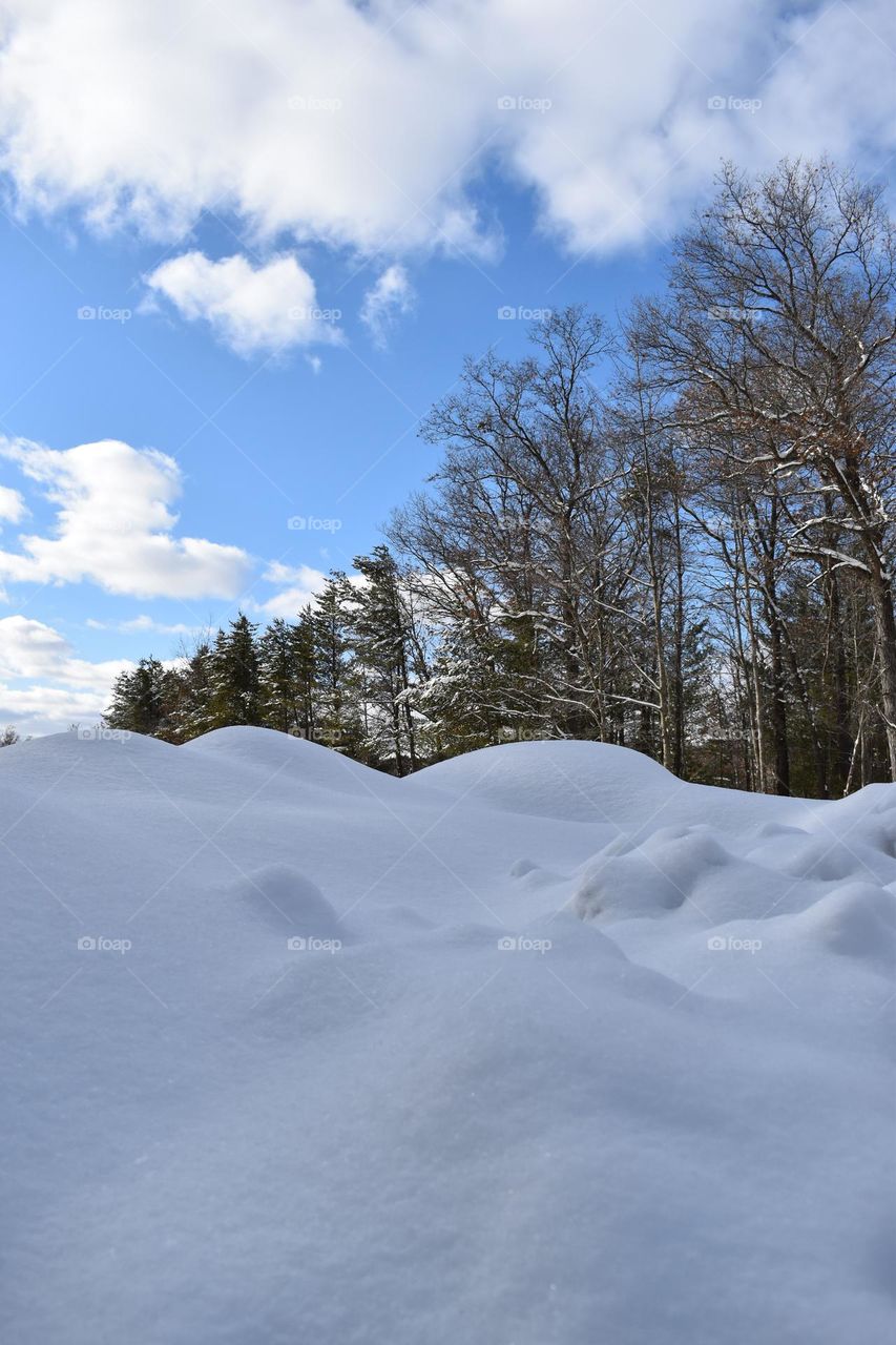 After the snow in March