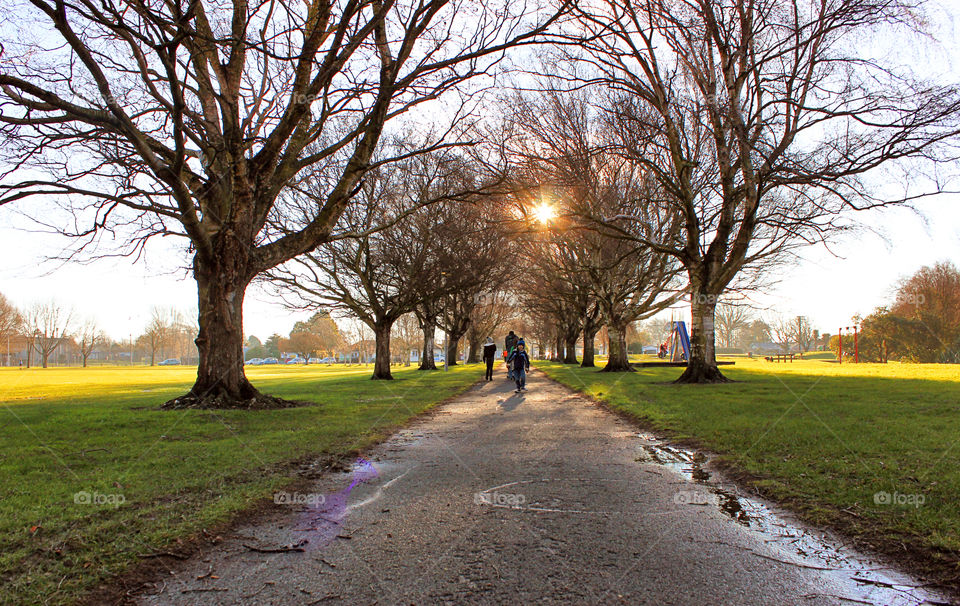 Winter stroll 