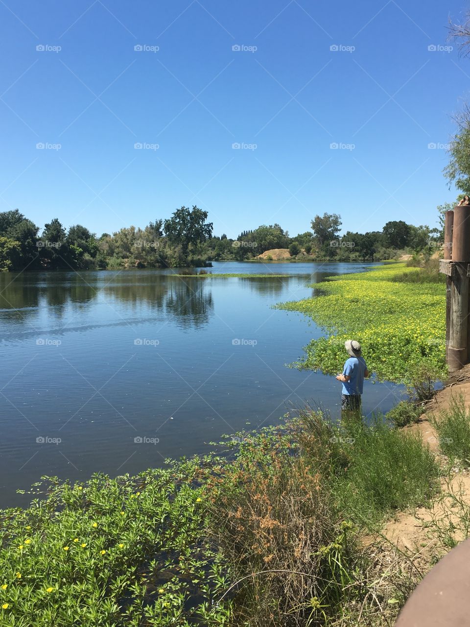 Man wading in marshland water lake calm