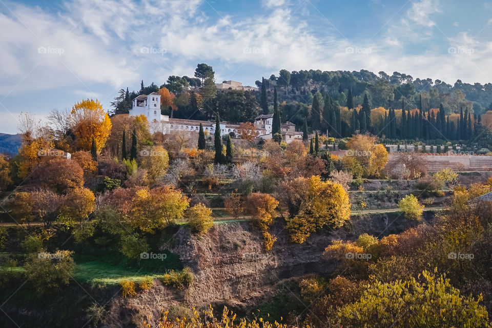 Granada Fall Foliage 